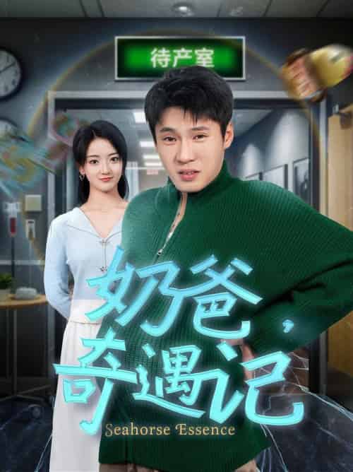 奶爸奇遇记（60集全）刘宇航 - 紫橙阁短剧