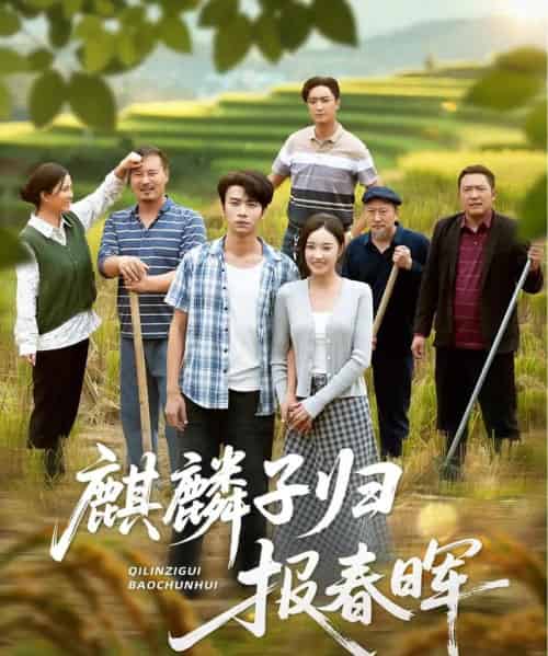 麒麟子归报春晖(36集全)夏欢亭&吴俊杰-紫橙网创项目网