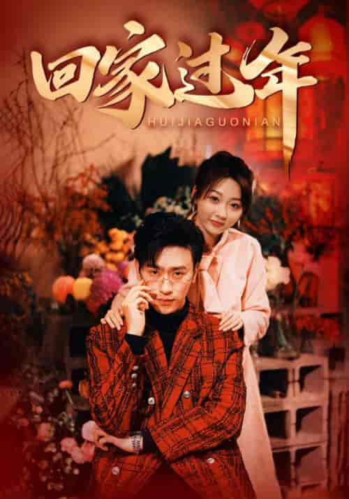 回家过年（74集） - 紫橙阁短剧
