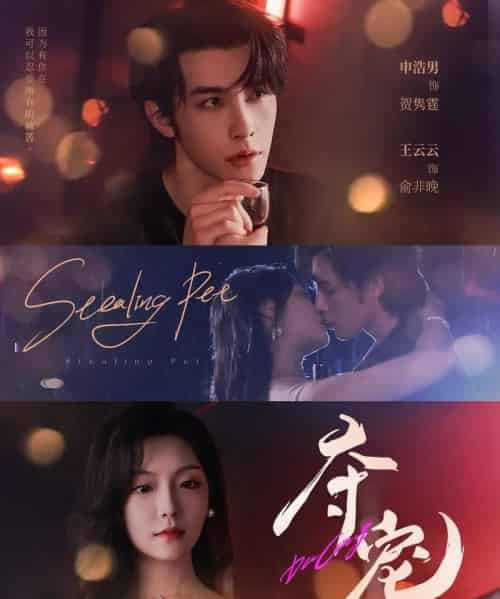 夺宠（88集全）申浩男＆王云云-紫橙网创项目网