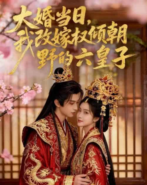 大婚当日,我改嫁权倾朝野的六皇子(30集全)AI-紫橙网创项目网