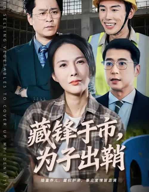 藏锋于市，为子出鞘（74集全）潘彦妃＆张皓-紫橙网创项目网