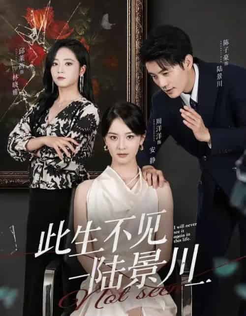 此生不见陆景川(66集全)陈子豪&周洋洋-紫橙网创项目网