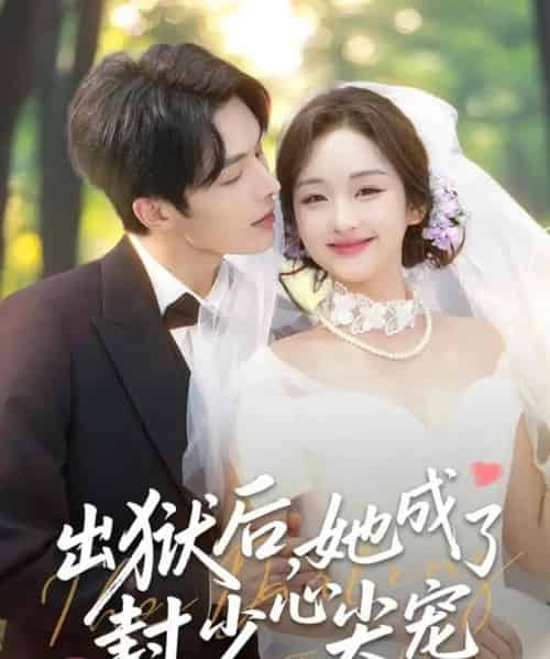 出狱后，她成了封少心尖宠（84集全）陈建宇＆吴佳璐-紫橙网创项目网