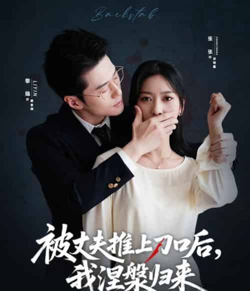 复婚抱歉我只谈判不谈情＆被丈夫推上刀口后，我涅槃归来（65集全）黎隐＆张张（张玉娇）-紫橙网创项目网