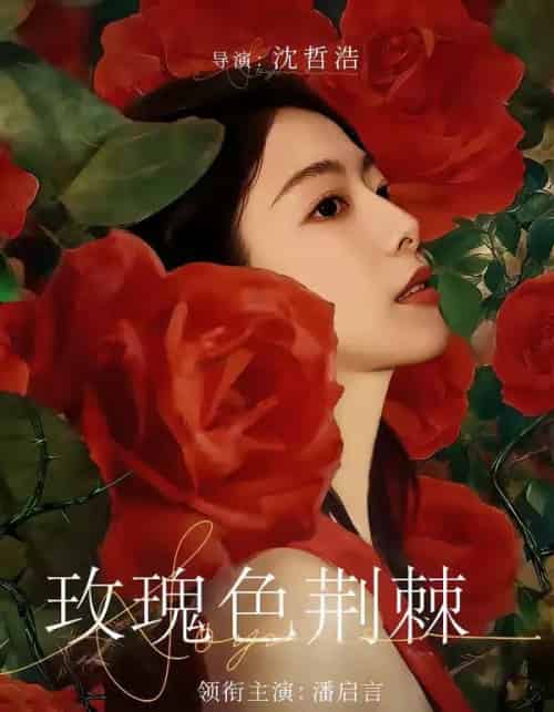 玫瑰色荆棘（60集全）潘启言＆张策-紫橙网创项目网