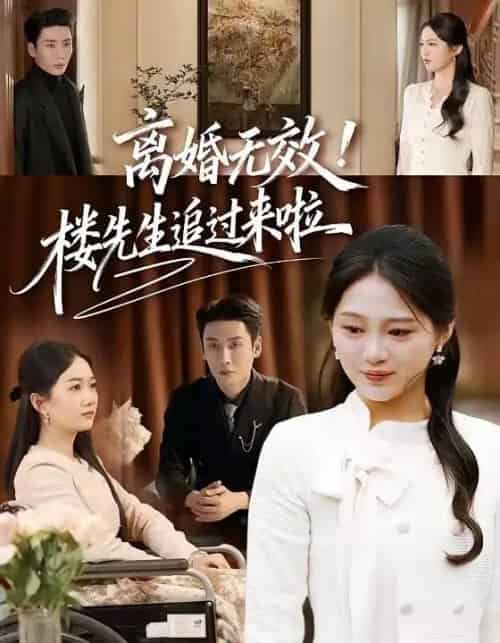 离婚无效！楼先生追过来啦（80集全）刘博洋＆崔秀子-紫橙网创项目网