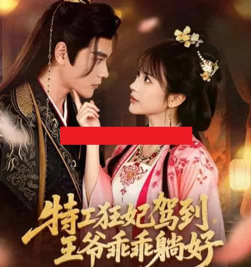 特工狂妃驾到,王爷乖乖躺好(60集全)赵垣又&文晴-紫橙网创项目网