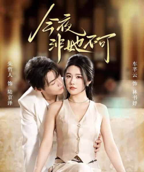 今夜非她不可（64集全）朱哲人＆车芊云-紫橙网创项目网