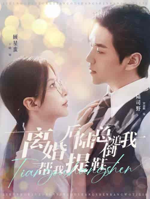 离婚后陆总倒追我帮我提鞋（100集全）罗嘉麒＆丁晓 - 紫橙阁短剧