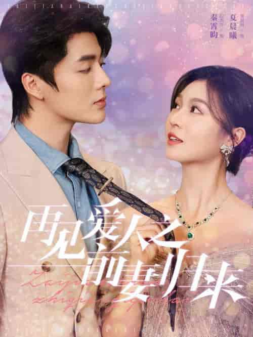 再见爱人之前妻归来（75集全）段美洋＆郑晨雨 - 紫橙阁短剧