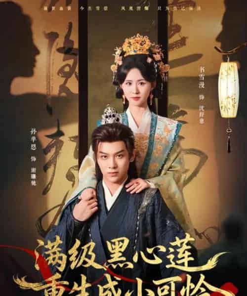 满级黑心莲重生成小可怜(76集全)孙单恩&书雪漫-紫橙网创项目网