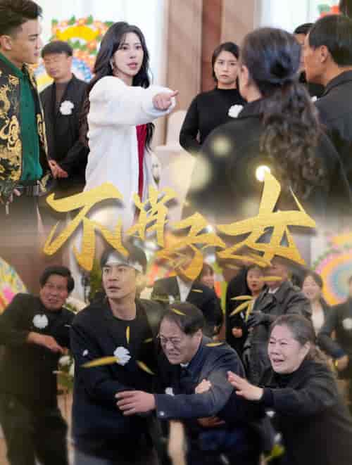 不肖子女（33集全）-紫橙网创项目网