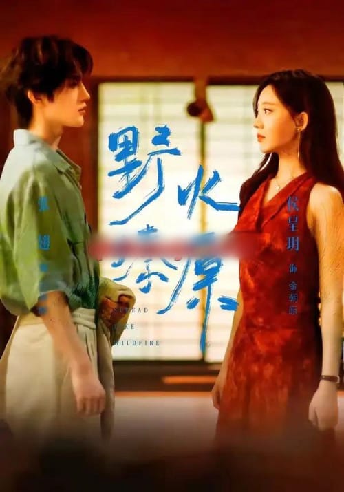 野火燎原(72集全)张翅&侯呈玥-紫橙网创项目网