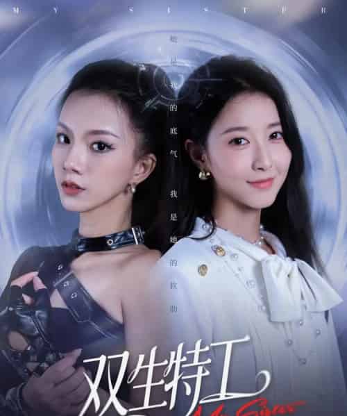 双生特工（79集全）魏灵尧＆庄芈僮-紫橙网创项目网