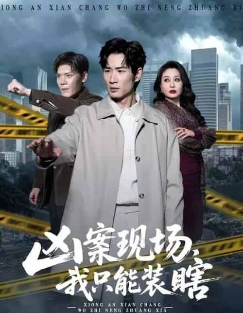 凶案现场,我只能装瞎(72集全)何俊雄&张明雪-紫橙网创项目网
