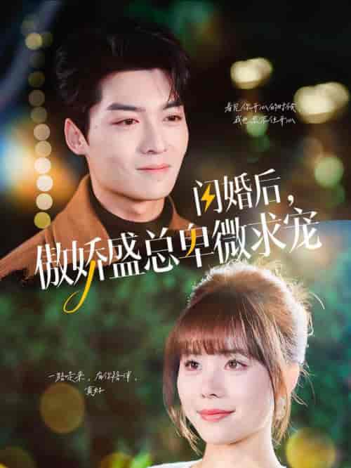 闪婚后傲娇盛总卑微求宠（100集全）方正男＆温叙 - 紫橙阁短剧