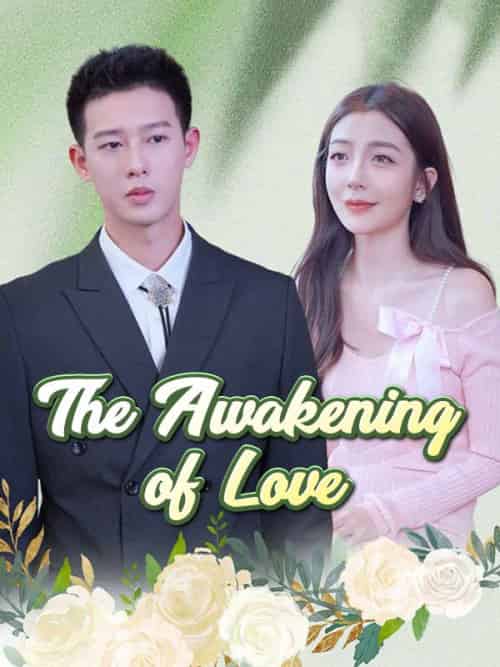 The Awakening of Love The Awakening of Love