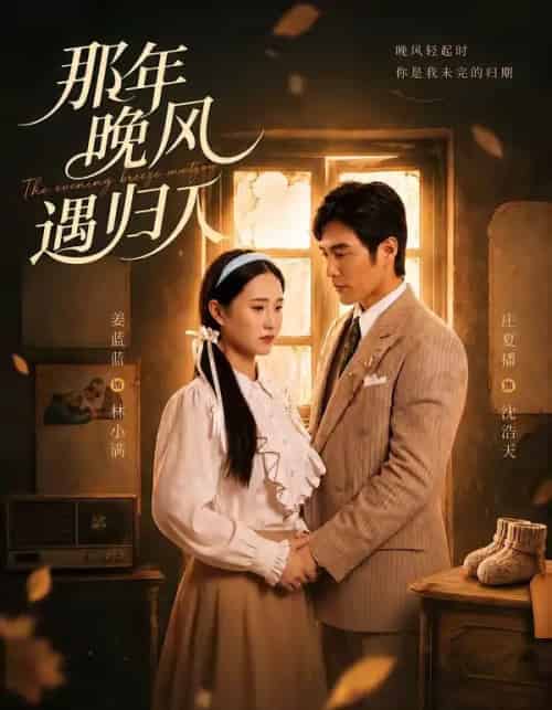 那年晚风遇归人(66集全)庄夏播&姜蓝蓝-紫橙网创项目网