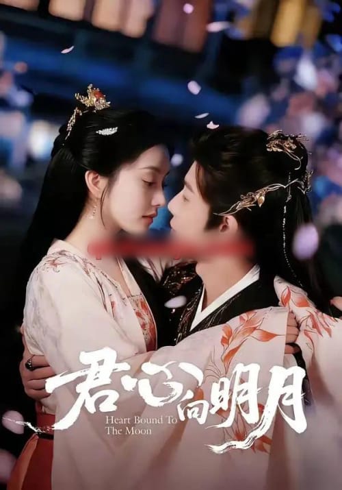 君心向明月（60集全）沈浩晨＆梨小娜-紫橙网创项目网