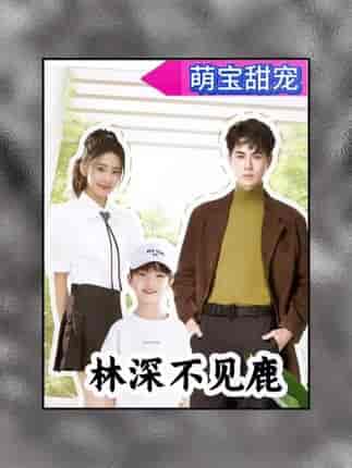 林深不见鹿（长篇） - 紫橙阁短剧