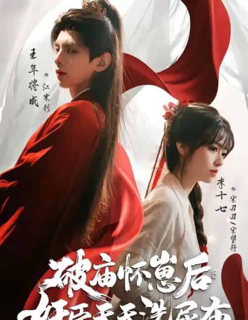 破庙怀崽后，奸臣天天洗尿布（80集全）王年将成＆李十七 （2026-紫橙网创项目网