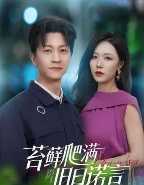 情途难负（83集） - 紫橙阁短剧