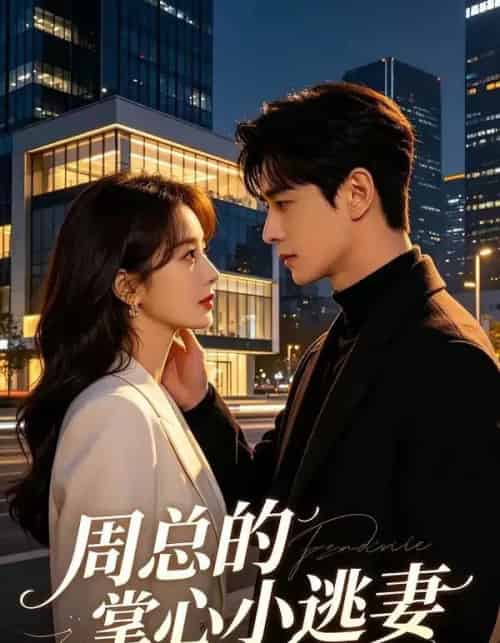 周总的掌心小逃妻（43集全）AI-紫橙网创项目网