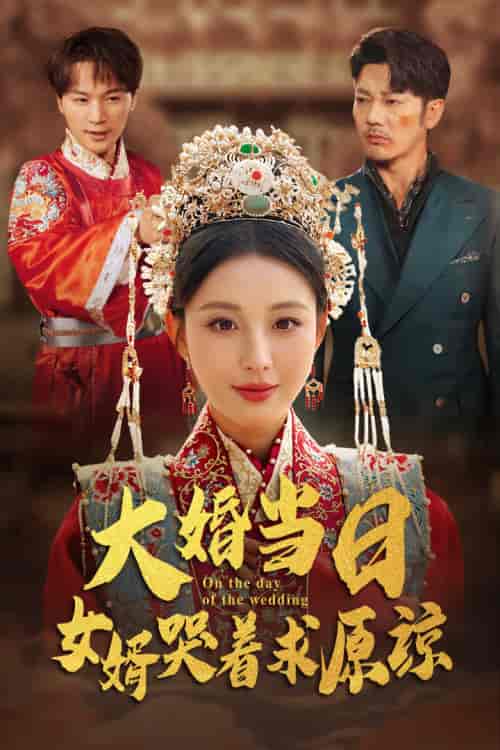 大婚当日，女婿哭着求原谅（31集全） - 紫橙阁短剧