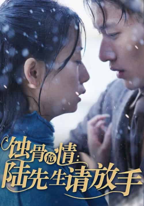 蚀骨危情：陆先生请放手（80集全）陆薄川＆江年 - 紫橙阁短剧