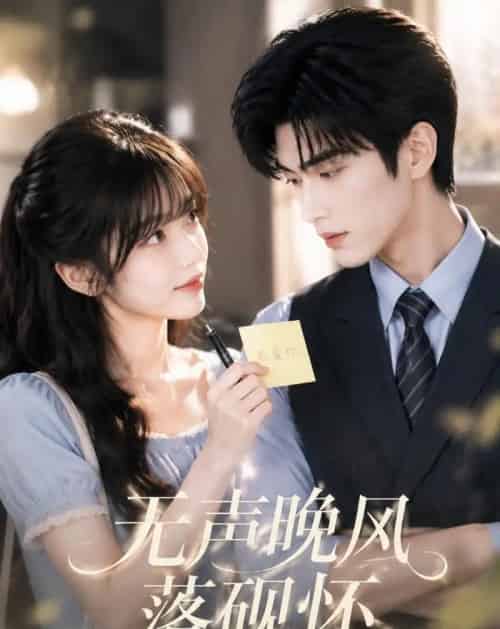 无声晚风落砚怀(40集全)AI-紫橙网创项目网