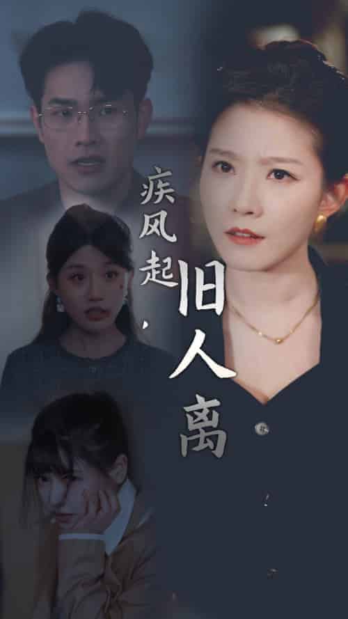 疾风起旧人离（32集全） - 紫橙阁短剧