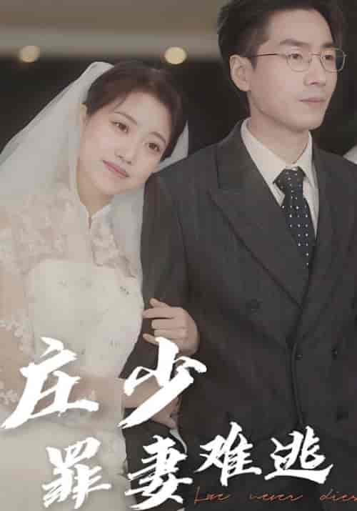 庄少罪妻难逃（80集全）庄文疏＆祝今好 - 紫橙阁短剧