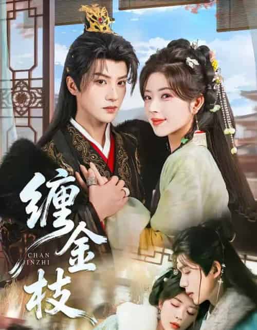 缠金枝（69集全）陈云廷＆熊安妮-紫橙网创项目网