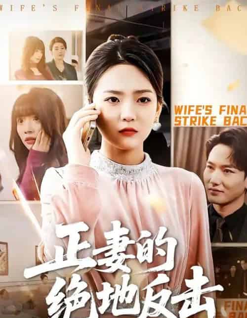 正妻的绝地反击（76集全）张浩天＆高婧琪-紫橙网创项目网