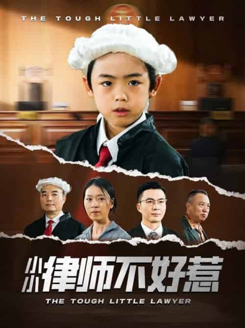 小小律师不好惹（82集全）王晓蒙 - 紫橙阁短剧