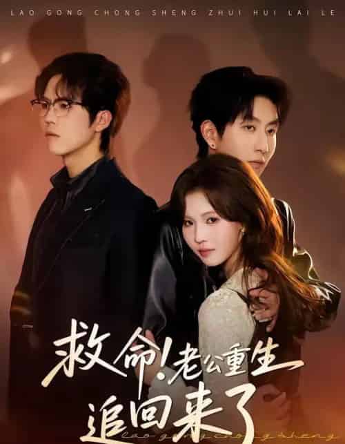 救命！老公重生追回来了（40集全）丁紫嫣＆戴睿-紫橙网创项目网