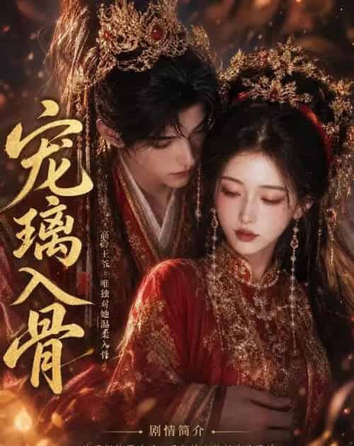 宠璃入骨（15集全）AI-紫橙网创项目网