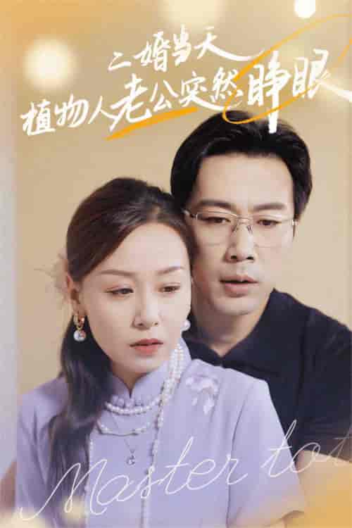 二婚当天植物人老公突然睁眼（40集全） - 紫橙阁短剧