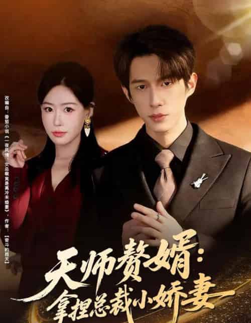 天师赘婿:拿捏总裁小娇妻(80集全)黄振洲&马祈欣-紫橙网创项目网