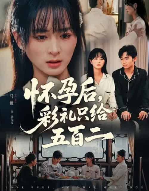 怀孕后，彩礼只给五百二（40集全）马薇＆丛家梦-紫橙网创项目网
