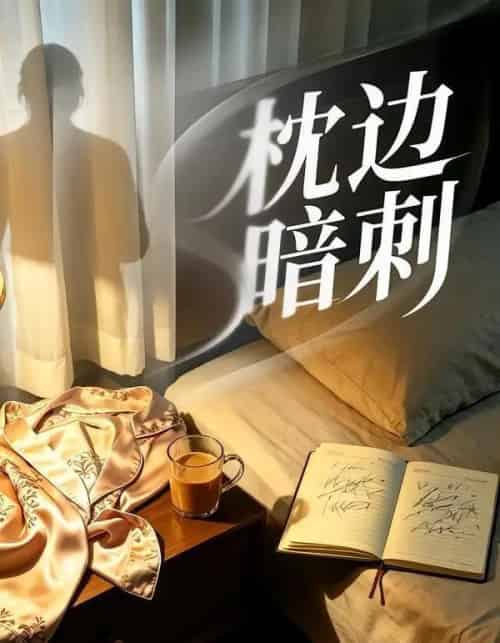 枕边暗刺(44集全)张铭祥&金善瀛-紫橙网创项目网
