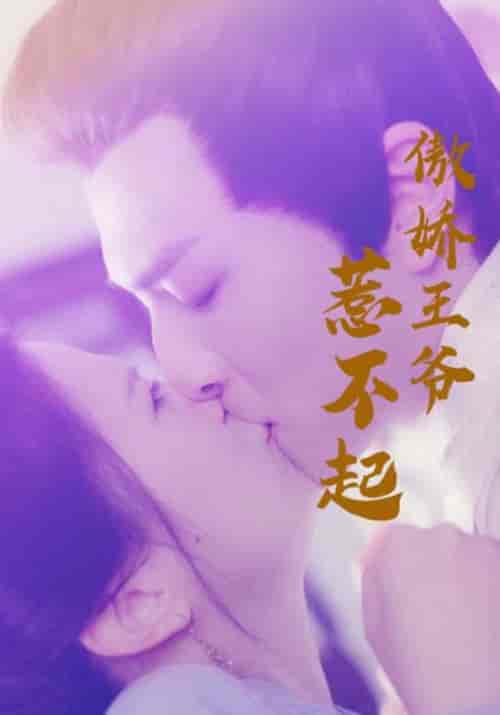 傲娇王爷惹不起（17集）顾彦辰＆陆倾婉-紫橙网创项目网