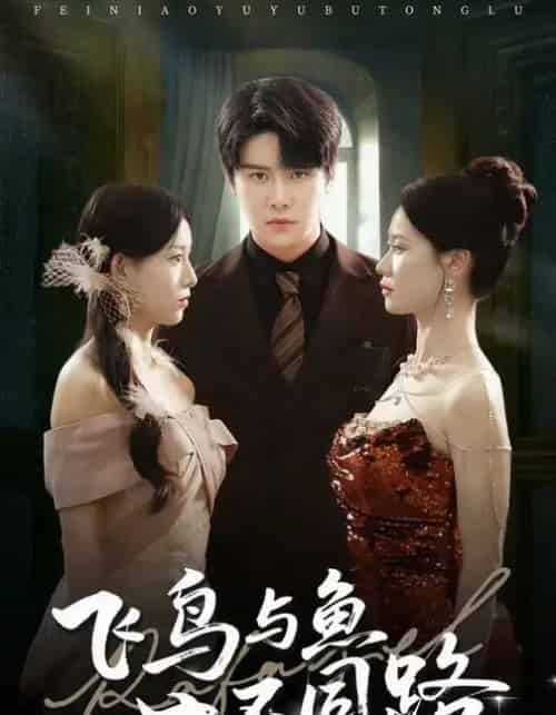 飞鸟与鱼不同路（60集全）祝静怡＆曲曦晨-紫橙网创项目网