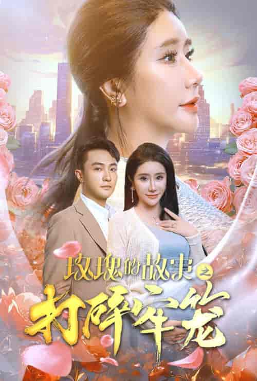 玫瑰的故事之打碎牢笼（58集全） - 紫橙阁短剧