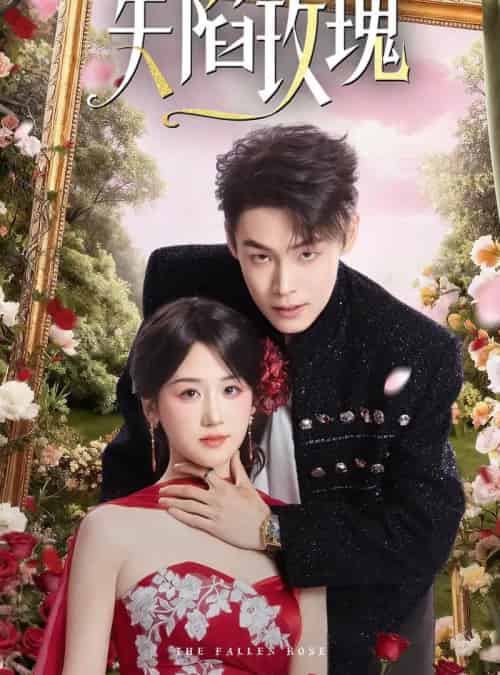 失陷玫瑰（60集全）朱哲人＆余紫瑄-紫橙网创项目网