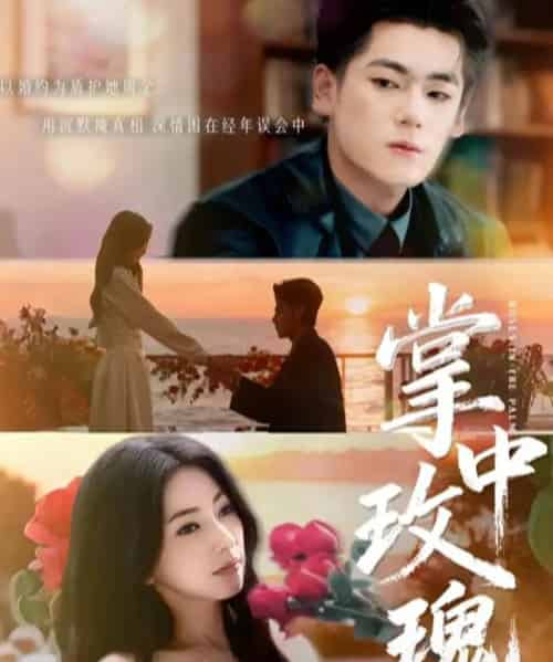 掌中玫瑰（60集全）聂基坤＆冶梓-紫橙网创项目网