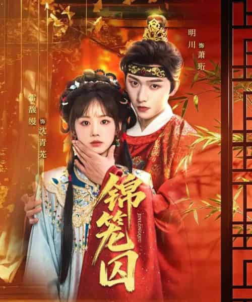 锦笼囚（60集全）明川＆雷馥缦-紫橙网创项目网