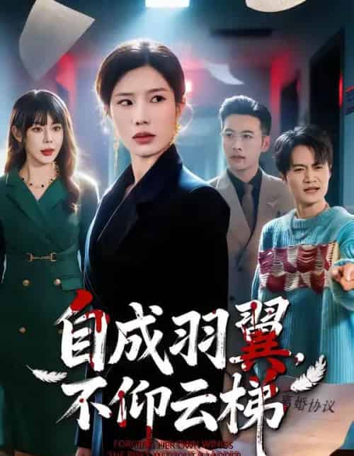 自成羽翼，不仰云梯（49集全）宗白铧＆邓恒健-紫橙网创项目网