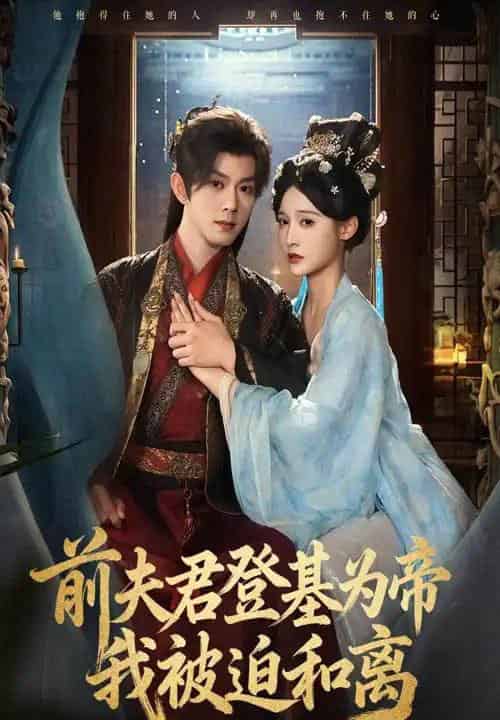 前夫君登基为帝我被迫和离(68集全)蓝博&甜九洛-紫橙网创项目网